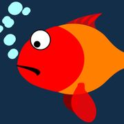 Nadine et Robert les poissons rouges - Oli